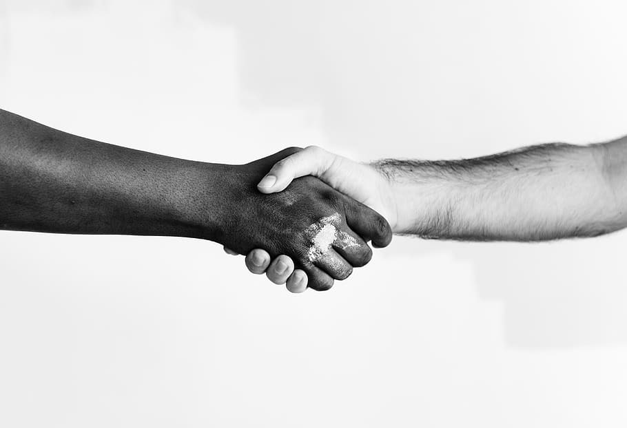 Handshake Free Stock Photo - Public Domain Pictures